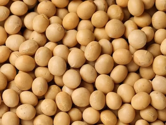 Пищевой гептагидрат сульфата магния, английская соль, Laiyu China